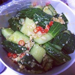 美食视频大全吃瓜