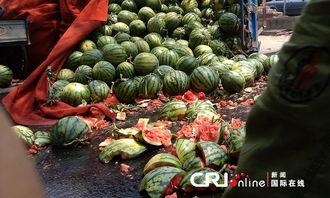 朝阳热心市民吃瓜,揭秘社区生活点滴