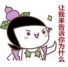 吃瓜吃半天没吃明白,半天吃瓜未解之谜