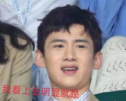 吃瓜白敬亭,吃瓜群众眼中的娱乐圈“吃瓜王”