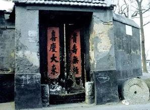 大杂院吃瓜小说,邻里瓜田，笑谈人间百态