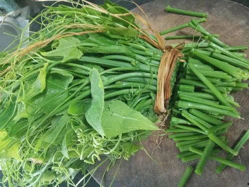 佛手瓜和香椿能一起吃吗