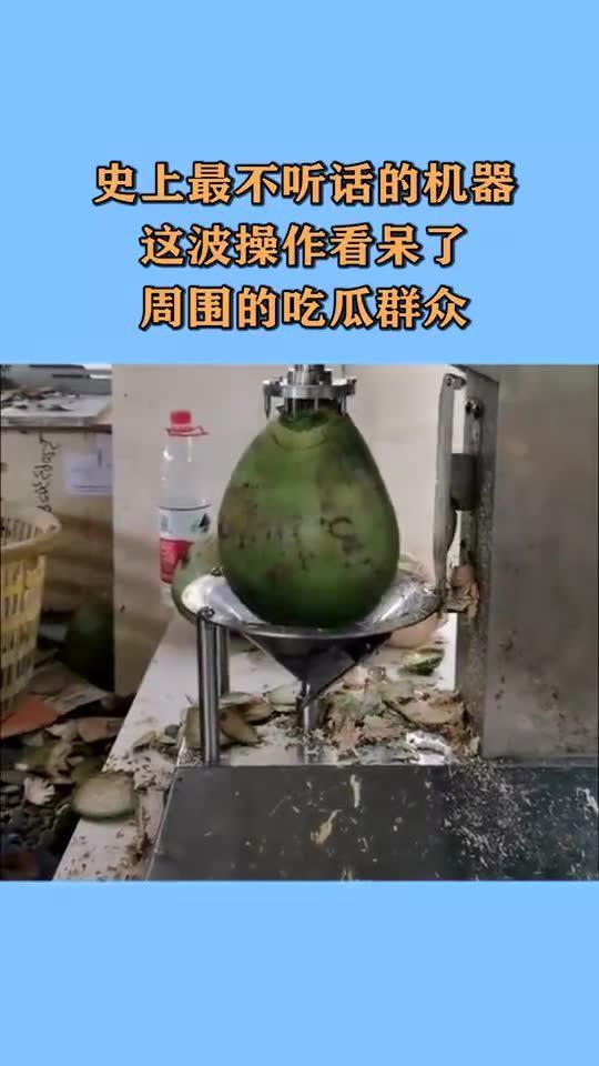 吃瓜机器,科技助力新时代“吃瓜群众”