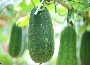 原生圈吃瓜,揭秘娱乐圈背后的真实故事